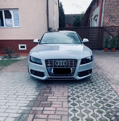 Audi A5 cena 36900 przebieg: 245800, rok produkcji 2008 z Góra małe 56